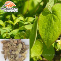 Horny Goat Extract/Epimedium Powder stimulate androgen Powder